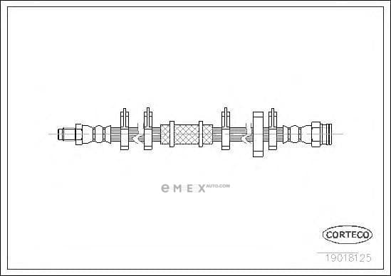 OEM 19018125