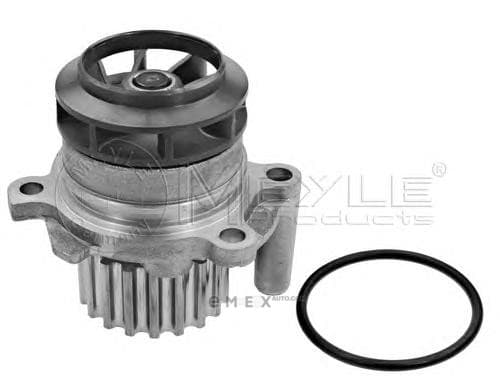 OEM WATER PUMP ASSY 1132200021