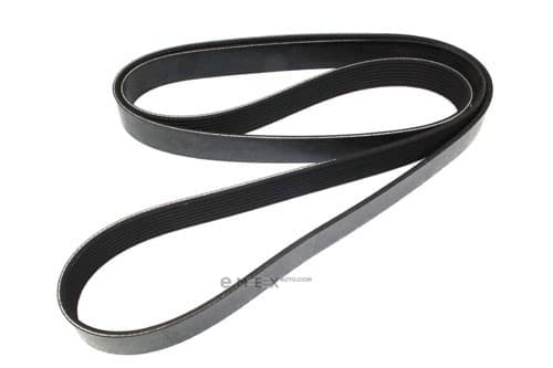 OEM BELT, V Z60115909A