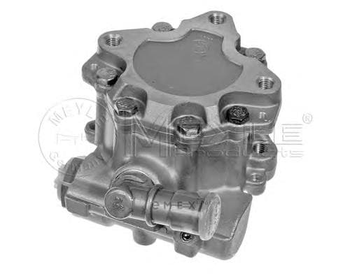 OEM POWER STEERING PUMP 1146310019