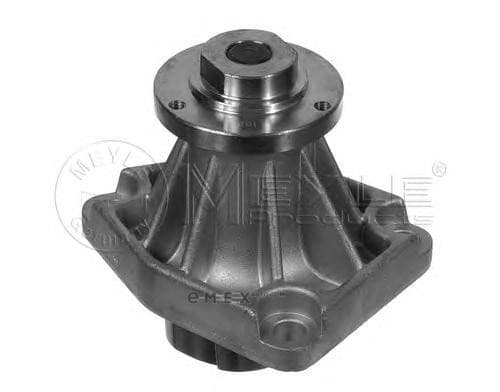 OEM WATER PUMP 8138831944