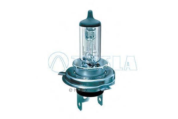 OEM LIGHT BULB B10401