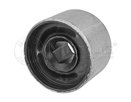 OEM PULLEY ROLLER ASSY 1006100017