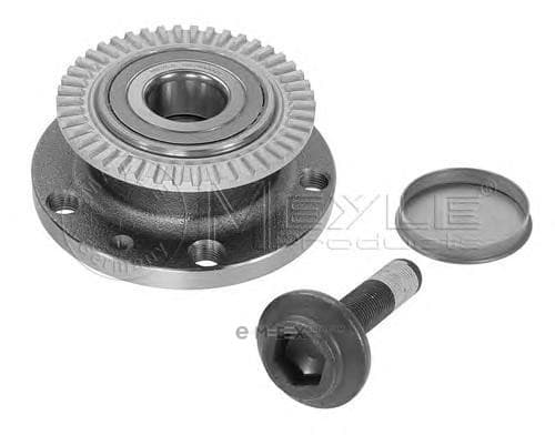 OEM WHEEL HUB W/BEARING & RING-A4 1007500000