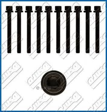 OEM CYLINDER HEAD BOLT SE 81000400