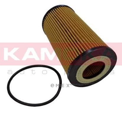 OEM OIL FILTER F110101