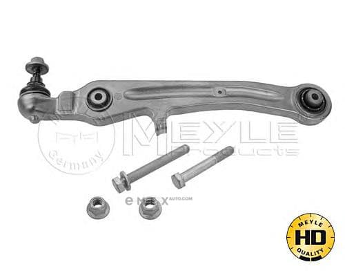 OEM ARM ASSY, SUSPENSION 1160500067HD