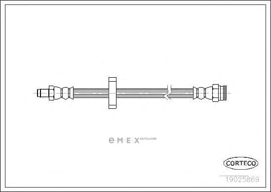 OEM 19025869