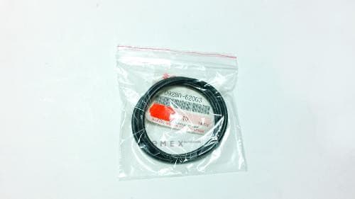 OEM O RING 0928062003