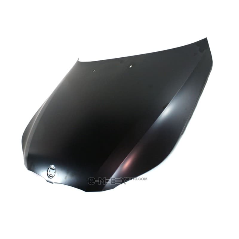 OEM HOOD 41617111385