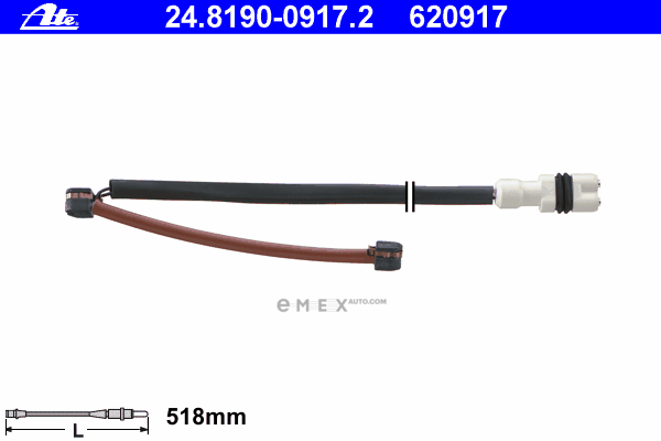 OEM 24819009172