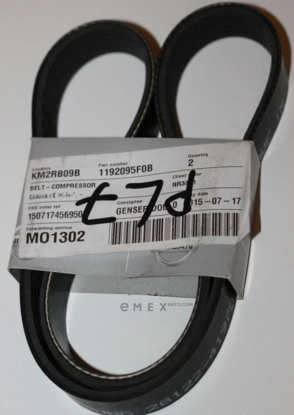 OEM BELT, V 1192095F0B