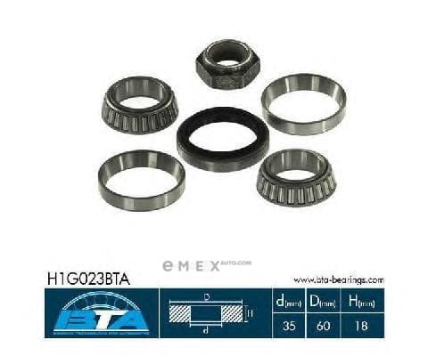 OEM H1G023BTA