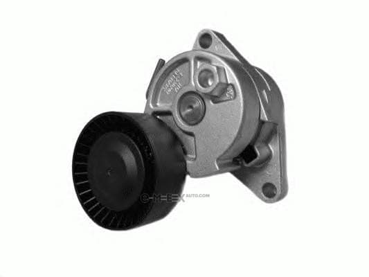 OEM TENSIONER ASSY, PULLEY 2490601