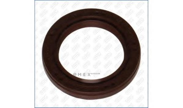 OEM SEAL RING 15096500