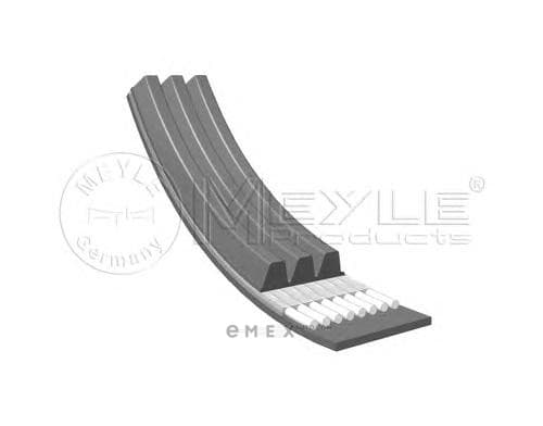 OEM BELT, V 0500030610