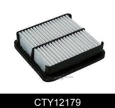 OEM AIR FILTER CTY12179