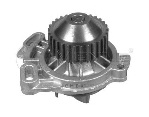 OEM WATER PUMP 1130120006