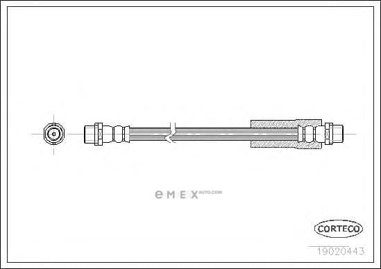 OEM 19020443