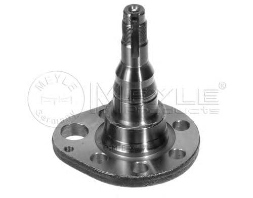 OEM STUB AXLE 1005010036