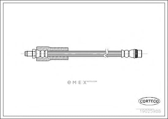 OEM 19025988