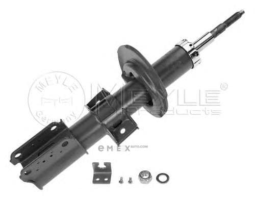 OEM SUSPENSION STRUT ASSEMBLY 5266130000