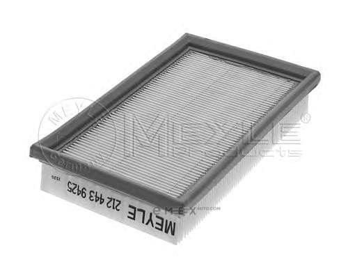 OEM FILTER ASSY, AIR ELEMENT 2124439425