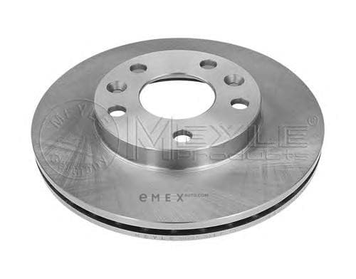 OEM DISK - FR BRAKE 16155210028