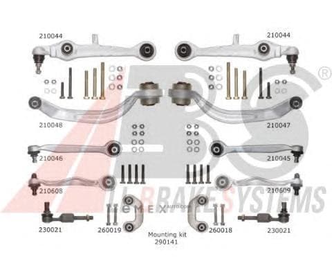 OEM Suspension arm/ABS 219900