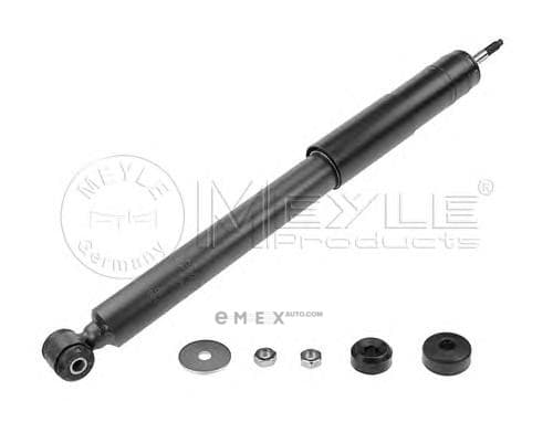 OEM SHOCK ABSORBER-RR- 0267250013