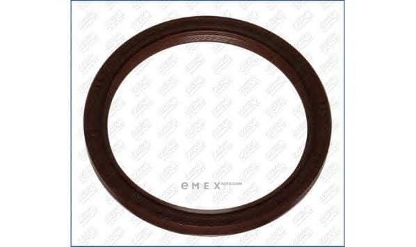 OEM SEAL RING 15052700