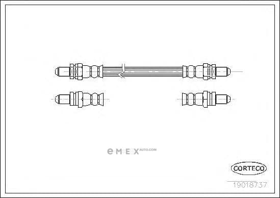 OEM 19018737