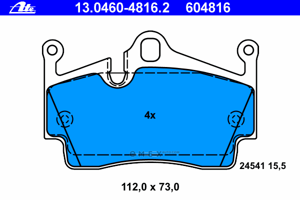 OEM 13046048162