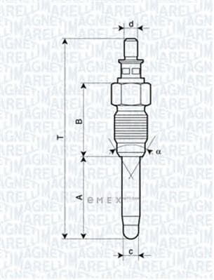 OEM SPARK PLUG 062900059304