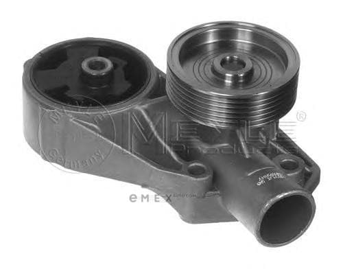 OEM WATER PUMP 1130120038