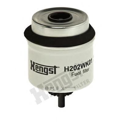 OEM FILTER ASSY, FUEL PUMP H202WK01D200