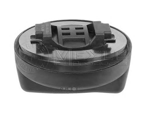 OEM OIL FILLER CAP 1001031027