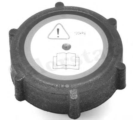 OEM CAP, RADIATOR RC0009