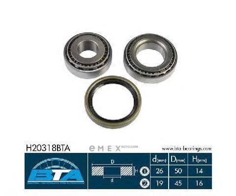 OEM H20318BTA