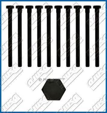 OEM CYLINDER HEAD BOLT SE 81004300