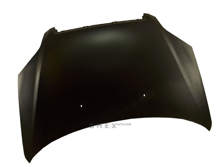 OEM PANEL HOOD 96649257