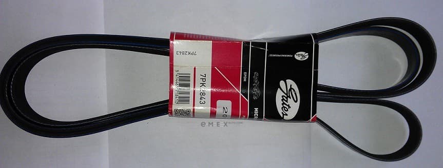 OEM BELT, V 7PK2843