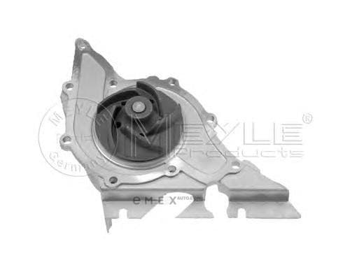 OEM WATER PUMP 1130120048