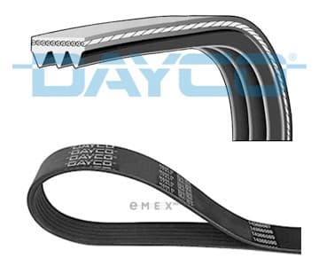 OEM BELT, V 3PK815