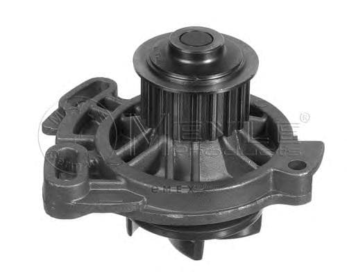 OEM WATER PUMP 1130120013