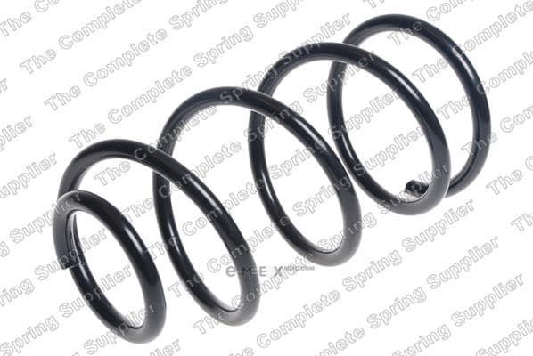 OEM SPRING, SUSPENSION 4095862