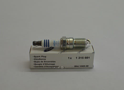 OEM SPARK PLUG 1315691