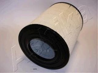 OEM FILTER ASSY, AIR ELEMENT 2005526