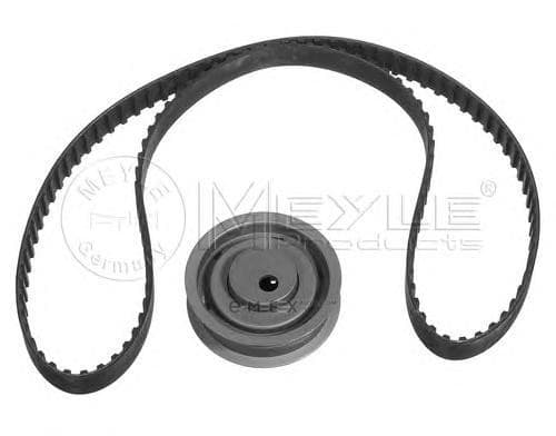 OEM TIMING BELT KIT 1001099002S