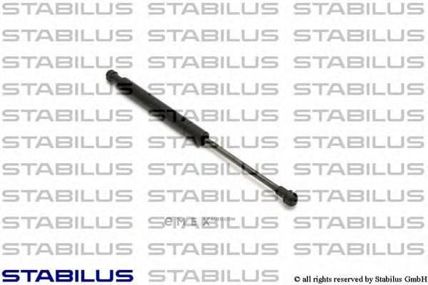 OEM GAS SPRING FRT BMW E46/4D,2D 1381MF